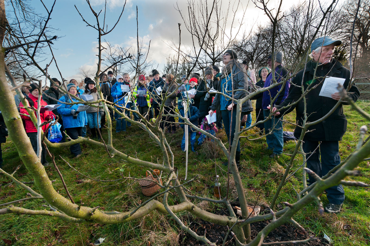 Hackney Wassail