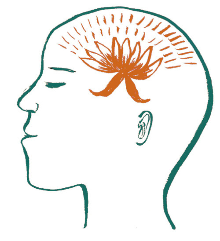 A picture of the inside of a persons brain with a flower sprouting