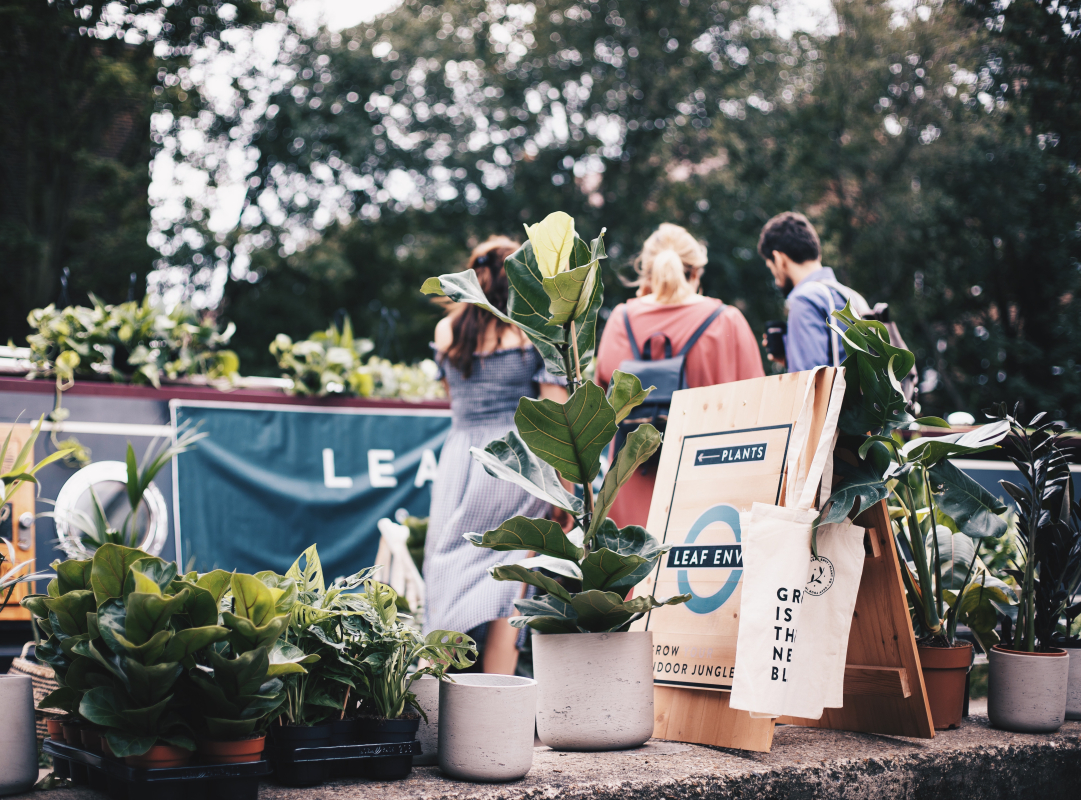 Leaf Envy plant shop opens at Hackney Downs Studios in E8.