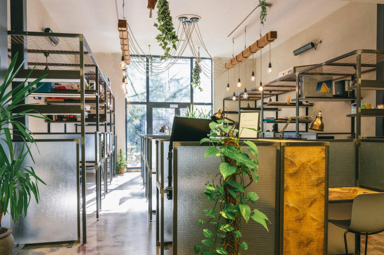 Natural light-filled coworking space with custom steel structures and plants at Hackney Downs Studios