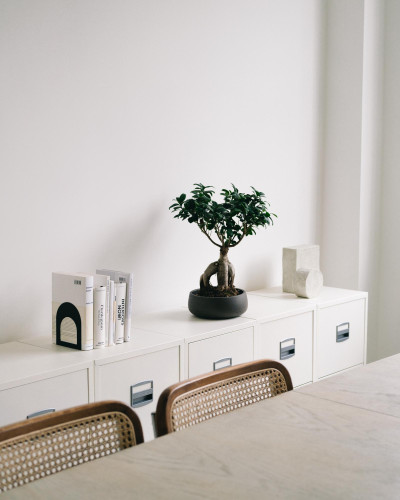 lose-up of a minimalist studio at Netil Corner London, featuring curated design books, a bonsai plant and clean white cabinetry