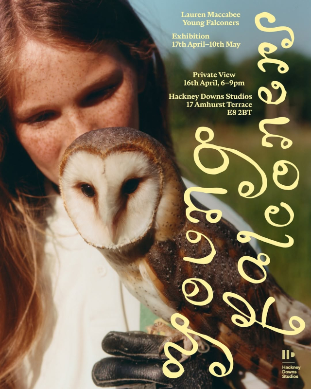 Lauren Maccabee: Young Falconers in collaboration with DMB